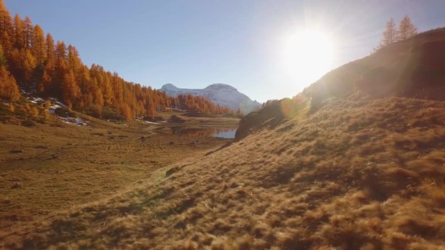 side POV walking on fall field path near lake with sun and snowy mounts.Sunny autumn day Hiking in colorful red forest wild nature mountain outdoors.Alps Devero.4k point of view establishing video