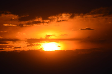 Danube delta sunset