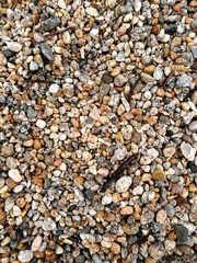 Marble beach