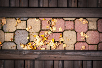 autumn maple leaves on pavement on wooden background