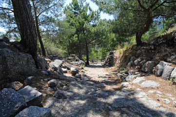 Quartier d'habitations romaines du site archéologique de Priène en Anatolie