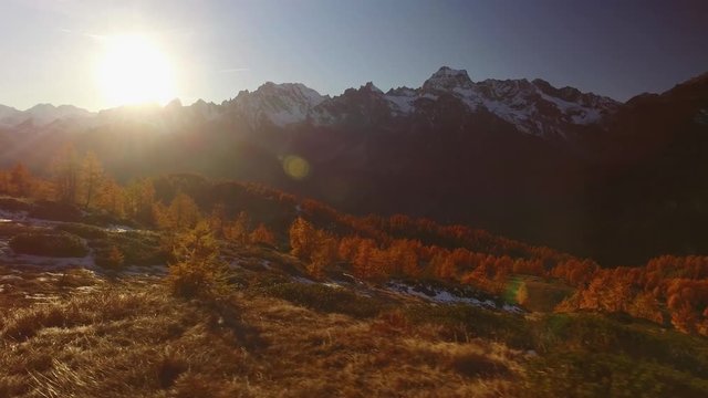 POV walking on fall woods path near trees with sun and snowy mounts.Sunny autumn day Hiking in colorful red forest wild nature mountain outdoors.Alps Devero.4k point of view establishing video