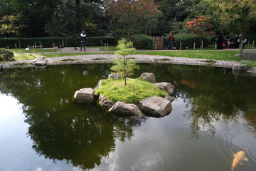 Naklejka premium beautiful zen garden