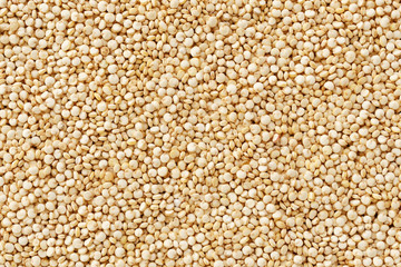 Quinoa seeds closeup
