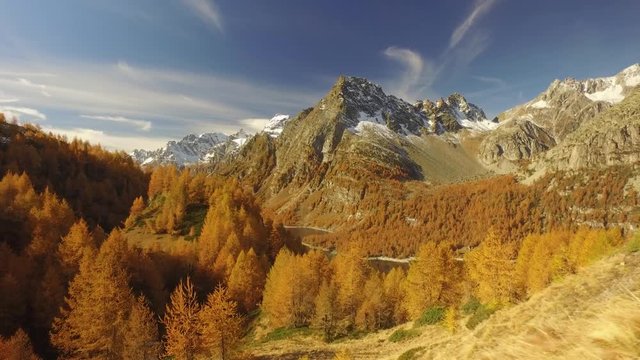 side POV walking on fall path with woods trees, lake and snowy mounts.Sunny autumn day Hiking in colorful red forest wild nature mountain outdoors.Alps Devero.4k point of view establishing video