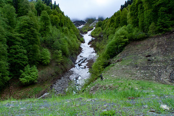 Fototapeta na wymiar Mountain stream in Krasnaya Polyana