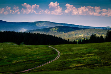The beautiful meadows of the Stübenwasen in the black forest