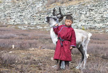 tsaatan boy, dressed in a traditional deel with a reindeer in a northern Mongolia