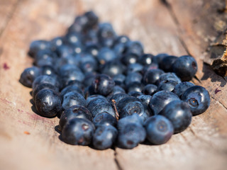 Blueberries lying on a piece of wood