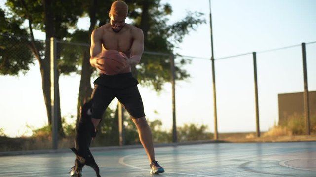 tall strong basketball player joyfully teasing dog playing with ball on court in morning slow motion
