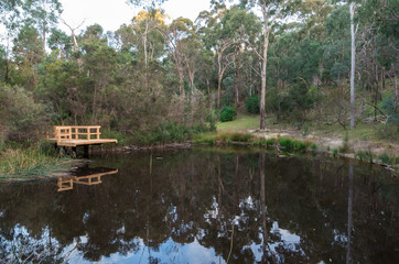 Fototapeta na wymiar Currawong Bush Park in outer suburban Melbourne, Australia.