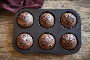 Chocolate Muffins