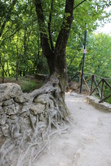 cascata della marmora