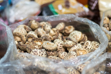 Dried mushroom in plastic bag for sell.