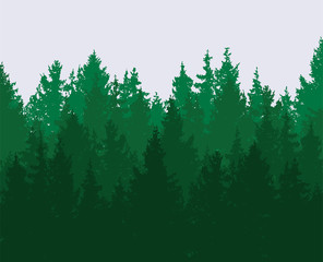 vector forest background. green spring woods, nature landscape © FreeSoulProduction