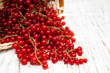 fresh red currant