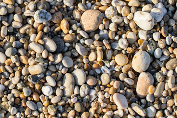 A full frame, background image of pebbles and shingles on a pebble beach with a soft golden glow from the setting sun.