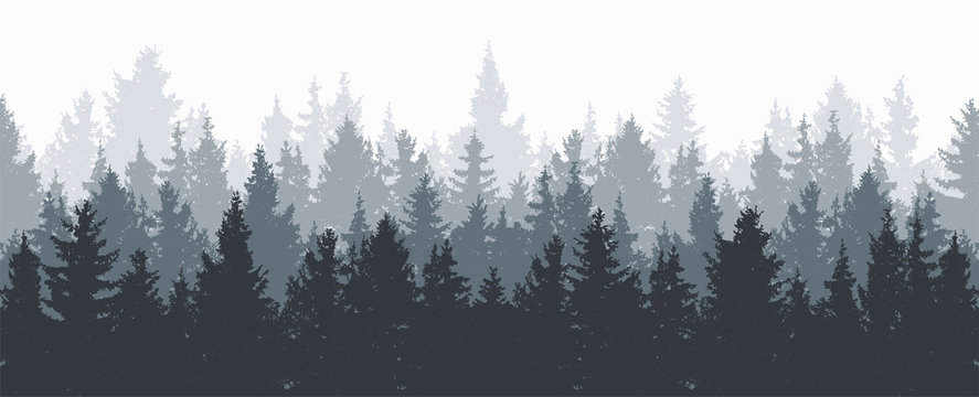 vector forest background
