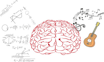 Creative brain Idea. Vector concept. Left and right brain functions,Human brain concept - 173247994