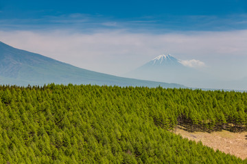 Fototapeta premium Mountain Fuji and cloud in spring season