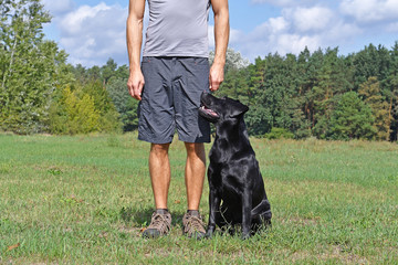 Man walk with dog in the park at sunny day.