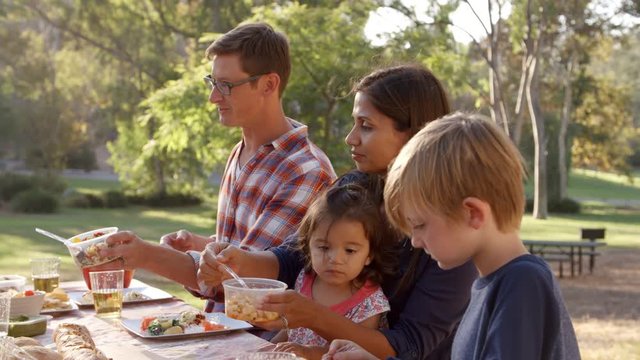 Two families eating at a picnic table in a park, close up