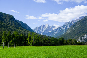 Fototapeta na wymiar Alps in Kranjska Gora