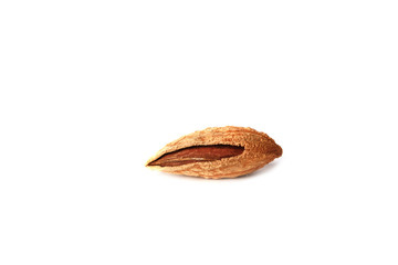 Almonds in shell isolated on white background