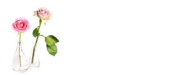 Obraz premium Two roses in a glass vase isolated on a white background