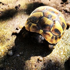 rien ne sert de courir 