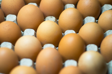 eggs background Close-up Top view Chicken eggs