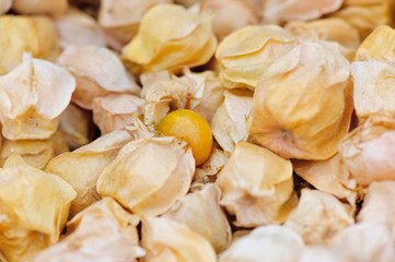 golden berry fruits
