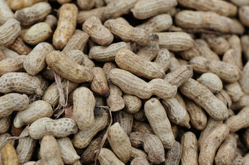 fresh peanuts