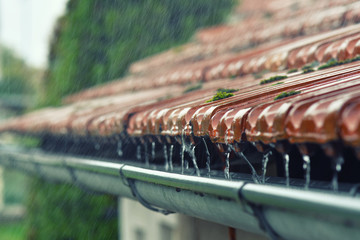 Drops of water flow into the eaves on the house in the rain. - obrazy, fototapety, plakaty