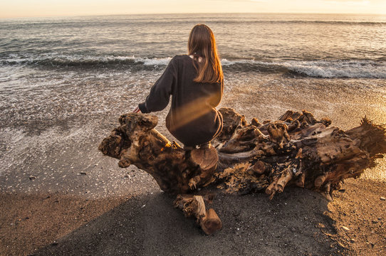 Naufrago Bilder Durchsuchen 372 Archivfotos, und