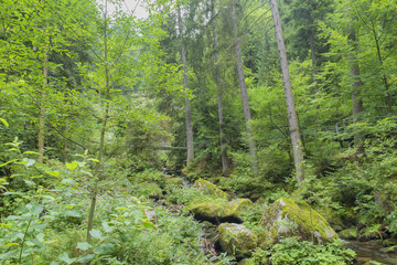 The waterfall in the village of Triverg in Germany