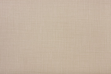 High resolution texture. Background. Canvas.