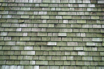 Old shingle background with green moss on roof