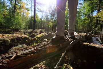 hiking legs in the sunrise forest