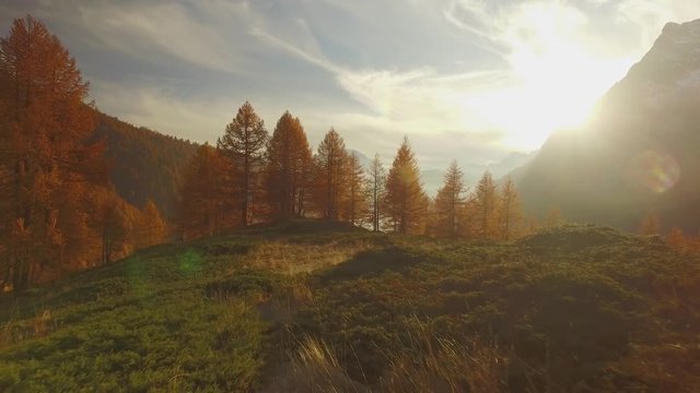 POV walking on fall path to woods,valley lake and snowy mounts at sunset with sun flare.Sunny autumn day Hiking in colorful red forest wild nature mountain outdoors.4k point of view establishing video