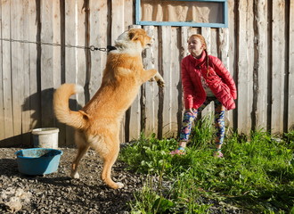 Девочка дразнит цепную собаку на фоне деревянного...