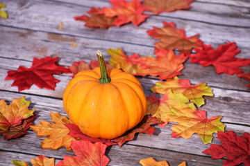Haloween Gourds
