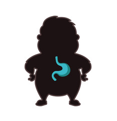 The human anatomy, the organs