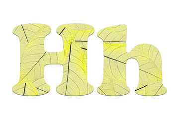 Leaf textured  letter  in a 3D illustration  on a white background