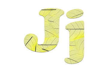 Leaf textured  letter  in a 3D illustration  on a white background