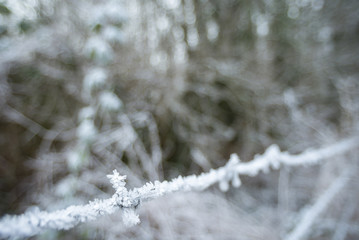 vereister Stacheldraht