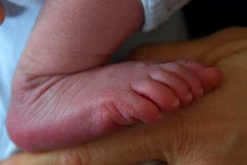 kleines Füsschen von einem neugeborenen Baby in der Hand der Mutter - obrazy, fototapety, plakaty