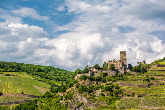 Gutenfels Castle and vineyards at Rhine Valley near Kaub, Germany.