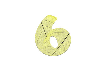 Leaf textured number in a 3D illustration  on a white background