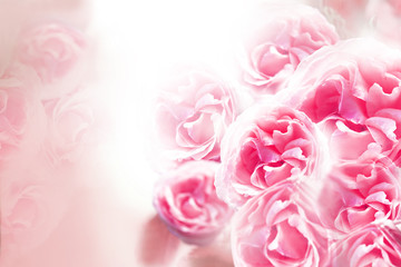 Fototapeta premium A bouquet of pink roses on a white background. Floral background. Nature.